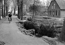 127270 Afbeelding van tijdens een storm omgewaaide bomen langs de Hoenkoopse Buurtweg te Hoenkoop.N.B. De gemeente ...